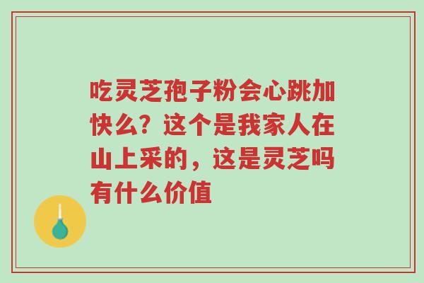 吃灵芝孢子粉会心跳加快么?这个是我家人在山上采的,这是灵芝吗有什么价值-第1张图片-超越 吃灵芝孢子粉会心跳加快么?这个是我家人在山上采的,这是灵芝吗有什么价值-第1张图片-超越