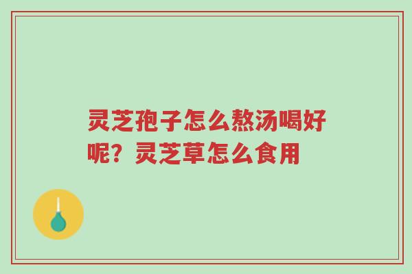 灵芝孢子怎么熬汤喝好呢?灵芝草怎么食用-第1张图片-超越 灵芝孢子怎么熬汤喝好呢?灵芝草怎么食用-第1张图片-超越