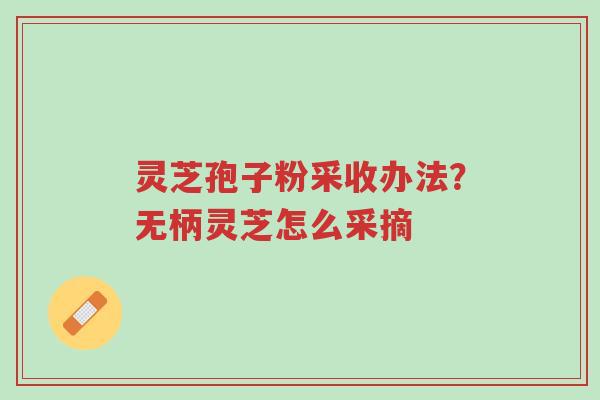灵芝孢子粉采收办法?无柄灵芝怎么采摘-第1张图片-超越 灵芝孢子粉采收办法?无柄灵芝怎么采摘-第1张图片-超越