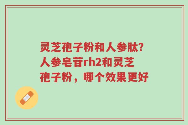 灵芝孢子粉和人参肽？人参皂苷rh2和灵芝孢子粉，哪个效果更好-第1张图片-超越