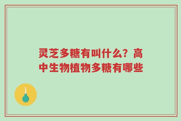 灵芝多糖有叫什么?高中生物植物多糖有哪些-第1张图片-超越 灵芝多糖有叫什么?高中生物植物多糖有哪些-第1张图片-超越