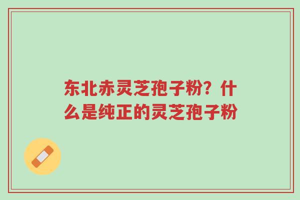 东北赤灵芝孢子粉?什么是纯正的灵芝孢子粉-第1张图片-超越 东北赤灵芝孢子粉?什么是纯正的灵芝孢子粉-第1张图片-超越