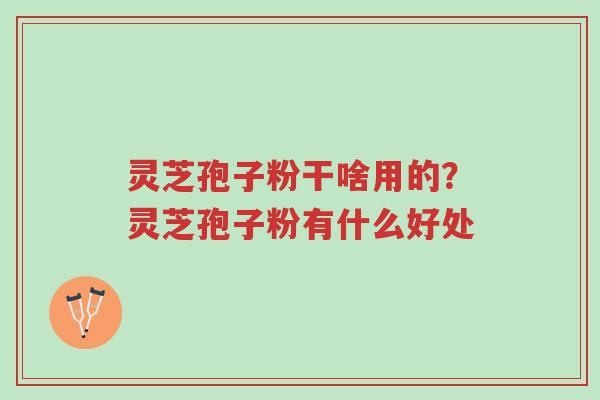 灵芝孢子粉干啥用的?灵芝孢子粉有什么好处-第1张图片-超越 灵芝孢子粉干啥用的?灵芝孢子粉有什么好处-第1张图片-超越