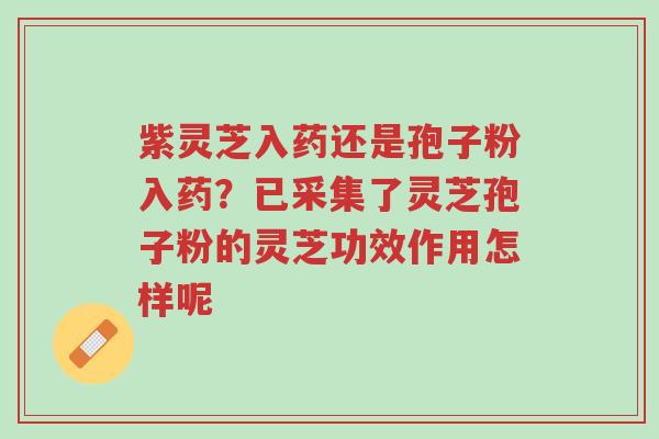 紫灵芝入药还是孢子粉入药?已采集了灵芝孢子粉的灵芝功效作用怎样呢-第1张图片-超越 紫灵芝入药还是孢子粉入药?已采集了灵芝孢子粉的灵芝功效作用怎样呢-第1张图片-超越