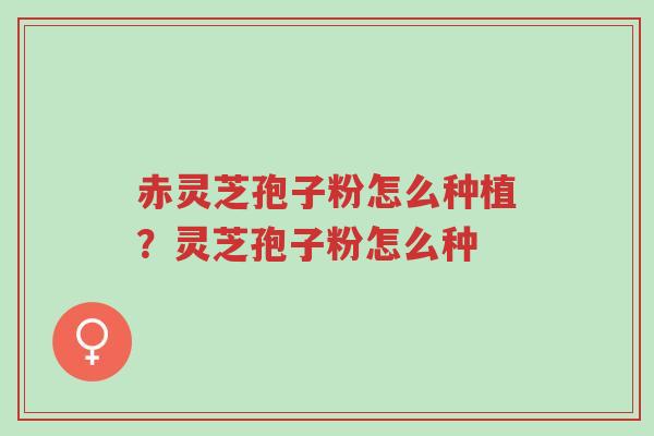 赤灵芝孢子粉怎么种植?灵芝孢子粉怎么种-第1张图片-超越 赤灵芝孢子粉怎么种植?灵芝孢子粉怎么种-第1张图片-超越