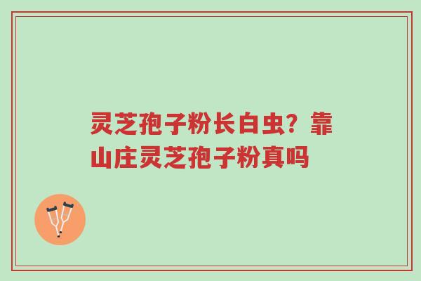 灵芝孢子粉长白虫?靠山庄灵芝孢子粉真吗-第1张图片-超越 灵芝孢子粉长白虫?靠山庄灵芝孢子粉真吗-第1张图片-超越