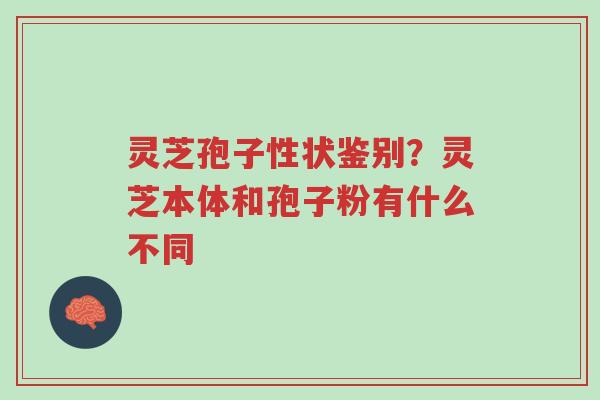 灵芝孢子性状鉴别?灵芝本体和孢子粉有什么不同-第1张图片-超越 灵芝孢子性状鉴别?灵芝本体和孢子粉有什么不同-第1张图片-超越