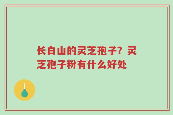 长白山的灵芝孢子?灵芝孢子粉有什么好处-第1张图片-超越 长白山的灵芝孢子?灵芝孢子粉有什么好处-第1张图片-超越