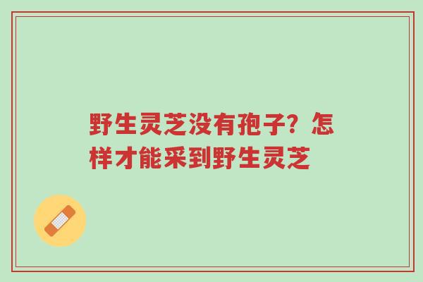 野生灵芝没有孢子?怎样才能采到野生灵芝-第1张图片-超越 野生灵芝没有孢子?怎样才能采到野生灵芝-第1张图片-超越