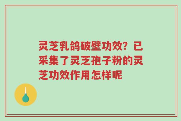 灵芝乳鸽破壁功效?已采集了灵芝孢子粉的灵芝功效作用怎样呢-第1张图片-超越 灵芝乳鸽破壁功效?已采集了灵芝孢子粉的灵芝功效作用怎样呢-第1张图片-超越