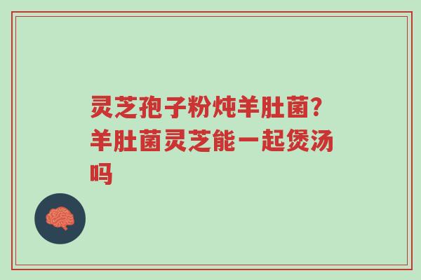 灵芝孢子粉炖羊肚菌？羊肚菌灵芝能一起煲汤吗-第1张图片-超越