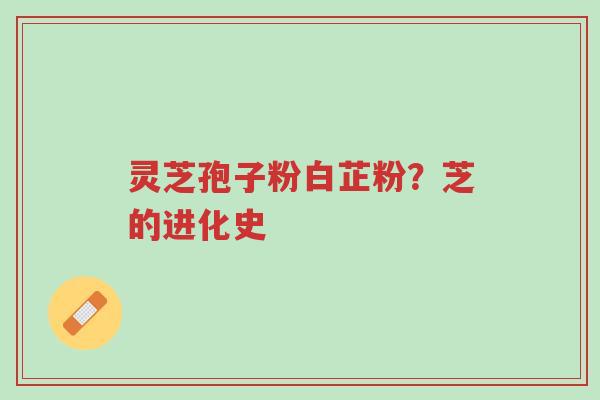 灵芝孢子粉白芷粉?芝的进化史-第1张图片-超越 灵芝孢子粉白芷粉?芝的进化史-第1张图片-超越