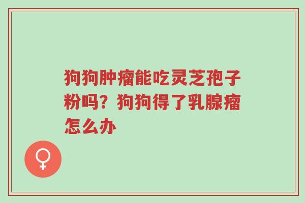 狗狗肿瘤能吃灵芝孢子粉吗?狗狗得了乳腺瘤怎么办-第1张图片-超越 狗狗肿瘤能吃灵芝孢子粉吗?狗狗得了乳腺瘤怎么办-第1张图片-超越