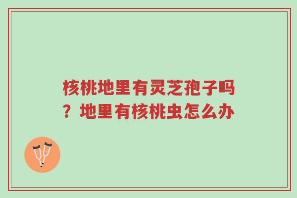 核桃地里有灵芝孢子吗?地里有核桃虫怎么办-第1张图片-超越 核桃地里有灵芝孢子吗?地里有核桃虫怎么办-第1张图片-超越
