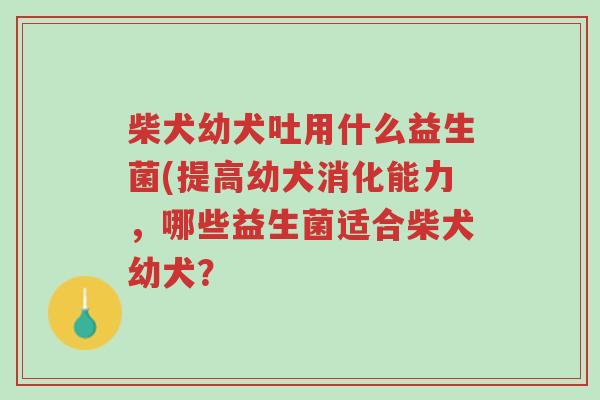 柴犬幼犬吐用什么益生菌(提高幼犬消化能力,哪些益生菌适合柴犬幼犬?-第1张图片-超越 柴犬幼犬吐用什么益生菌(提高幼犬消化能力,哪些益生菌适合柴犬幼犬?-第1张图片-超越