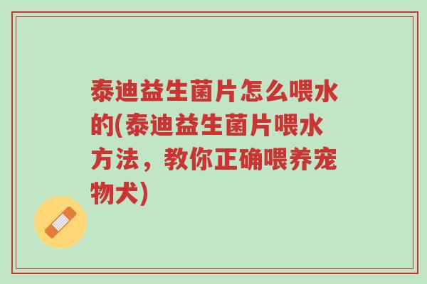 泰迪益生菌片怎么喂水的(泰迪益生菌片喂水方法,教你正确喂养宠物犬)-第1张图片-超越 泰迪益生菌片怎么喂水的(泰迪益生菌片喂水方法,教你正确喂养宠物犬)-第1张图片-超越