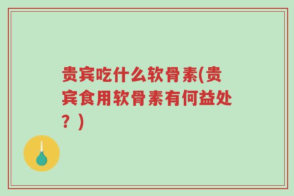 贵宾吃什么软骨素(贵宾食用软骨素有何益处？)-第1张图片-超越