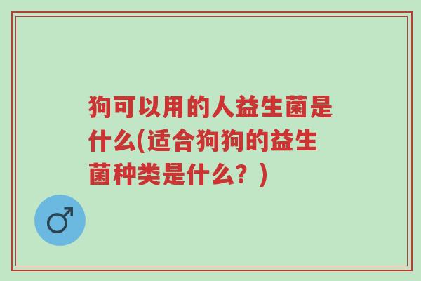 狗可以用的人益生菌是什么(适合狗狗的益生菌种类是什么?)-第1张图片-超越 狗可以用的人益生菌是什么(适合狗狗的益生菌种类是什么?)-第1张图片-超越