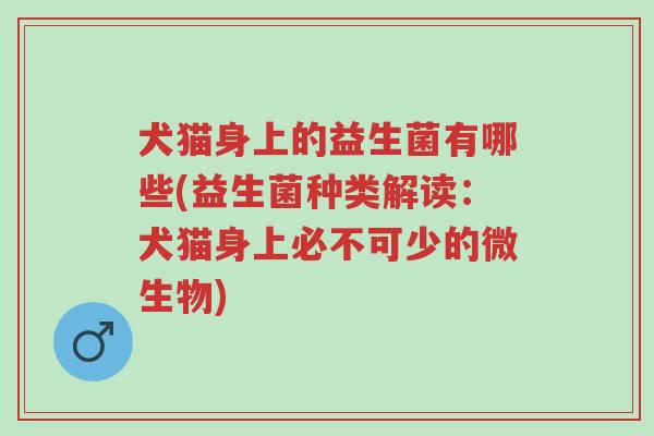 犬猫身上的益生菌有哪些(益生菌种类解读:犬猫身上必不可少的微生物)-第1张图片-超越 犬猫身上的益生菌有哪些(益生菌种类解读:犬猫身上必不可少的微生物)-第1张图片-超越