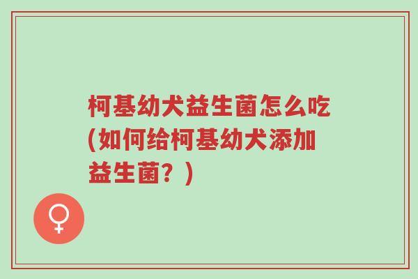 柯基幼犬益生菌怎么吃(如何给柯基幼犬添加益生菌?)-第1张图片-超越 柯基幼犬益生菌怎么吃(如何给柯基幼犬添加益生菌?)-第1张图片-超越