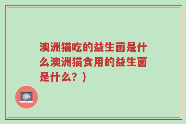 澳洲猫吃的益生菌是什么澳洲猫食用的益生菌是什么?)-第1张图片-超越 澳洲猫吃的益生菌是什么澳洲猫食用的益生菌是什么?)-第1张图片-超越
