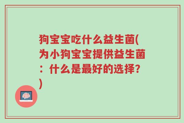 狗宝宝吃什么益生菌(为小狗宝宝提供益生菌:什么是最好的选择?)-第1张图片-超越 狗宝宝吃什么益生菌(为小狗宝宝提供益生菌:什么是最好的选择?)-第1张图片-超越