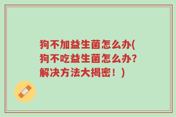 狗不加益生菌怎么办(狗不吃益生菌怎么办?解决方法大揭密!)-第1张图片-超越 狗不加益生菌怎么办(狗不吃益生菌怎么办?解决方法大揭密!)-第1张图片-超越