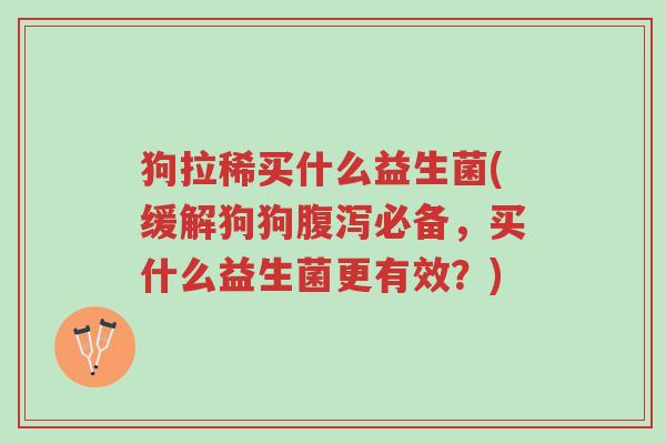 狗拉稀买什么益生菌(缓解狗狗腹泻必备,买什么益生菌更有效?)-第1张图片-超越 狗拉稀买什么益生菌(缓解狗狗腹泻必备,买什么益生菌更有效?)-第1张图片-超越