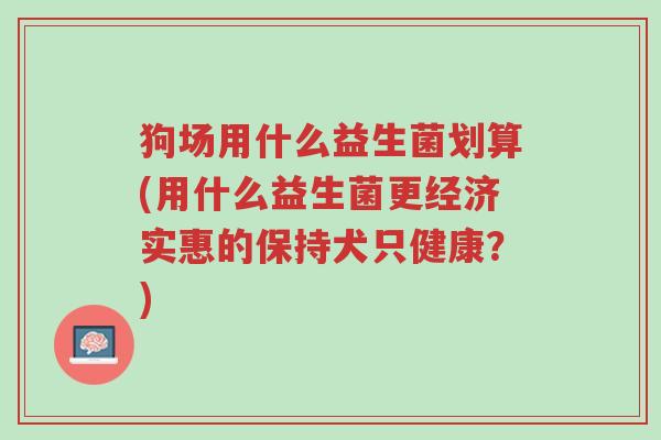狗场用什么益生菌划算(用什么益生菌更经济实惠的保持犬只健康?)-第1张图片-超越 狗场用什么益生菌划算(用什么益生菌更经济实惠的保持犬只健康?)-第1张图片-超越