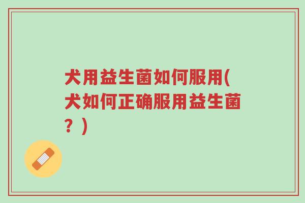 犬用益生菌如何服用(犬如何正确服用益生菌？)-第1张图片-超越