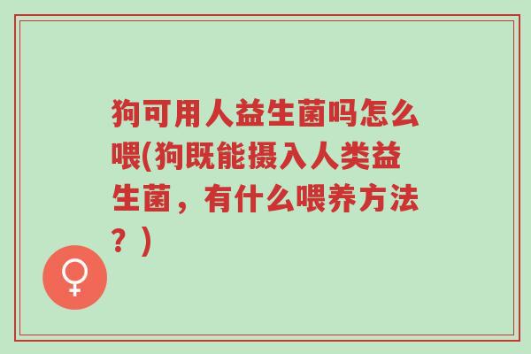 狗可用人益生菌吗怎么喂(狗既能摄入人类益生菌,有什么喂养方法?)-第1张图片-超越 狗可用人益生菌吗怎么喂(狗既能摄入人类益生菌,有什么喂养方法?)-第1张图片-超越