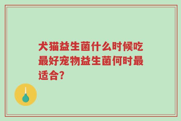 犬猫益生菌什么时候吃最好宠物益生菌何时最适合?-第1张图片-超越 犬猫益生菌什么时候吃最好宠物益生菌何时最适合?-第1张图片-超越