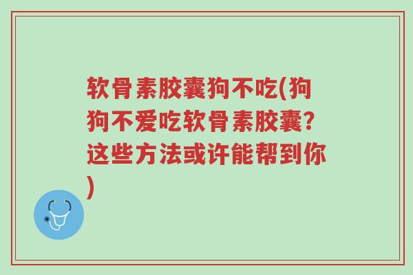 软骨素胶囊狗不吃(狗狗不爱吃软骨素胶囊?这些方法或许能帮到你)-第1张图片-超越 软骨素胶囊狗不吃(狗狗不爱吃软骨素胶囊?这些方法或许能帮到你)-第1张图片-超越