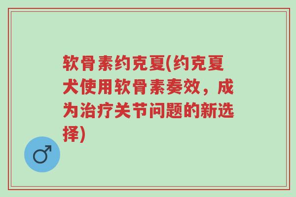 软骨素约克夏(约克夏犬使用软骨素奏效,成为治疗关节问题的新选择)-第1张图片-超越 软骨素约克夏(约克夏犬使用软骨素奏效,成为治疗关节问题的新选择)-第1张图片-超越