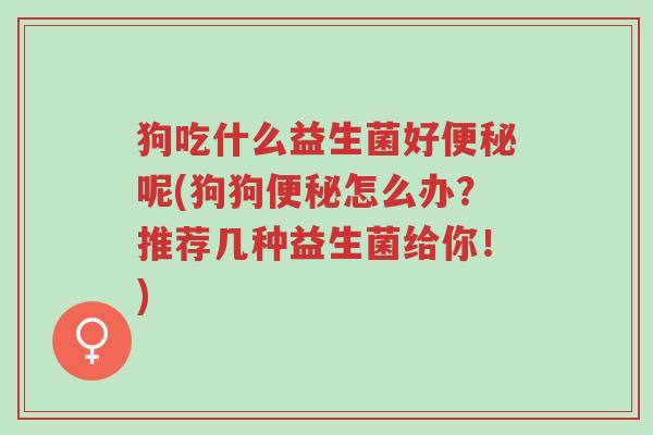 狗吃什么益生菌好便秘呢(狗狗便秘怎么办?推荐几种益生菌给你!)-第1张图片-超越 狗吃什么益生菌好便秘呢(狗狗便秘怎么办?推荐几种益生菌给你!)-第1张图片-超越