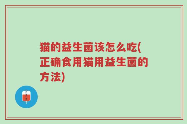 猫的益生菌该怎么吃(正确食用猫用益生菌的方法)-第1张图片-超越 猫的益生菌该怎么吃(正确食用猫用益生菌的方法)-第1张图片-超越