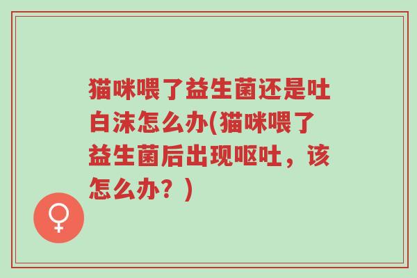 猫咪喂了益生菌还是吐白沫怎么办(猫咪喂了益生菌后出现呕吐,该怎么办?)-第1张图片-超越 猫咪喂了益生菌还是吐白沫怎么办(猫咪喂了益生菌后出现呕吐,该怎么办?)-第1张图片-超越
