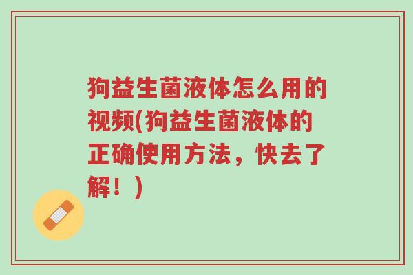 狗益生菌液体怎么用的视频(狗益生菌液体的正确使用方法，快去了解！)-第1张图片-超越