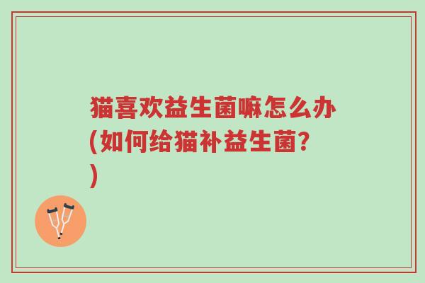 猫喜欢益生菌嘛怎么办(如何给猫补益生菌?)-第1张图片-超越 猫喜欢益生菌嘛怎么办(如何给猫补益生菌?)-第1张图片-超越
