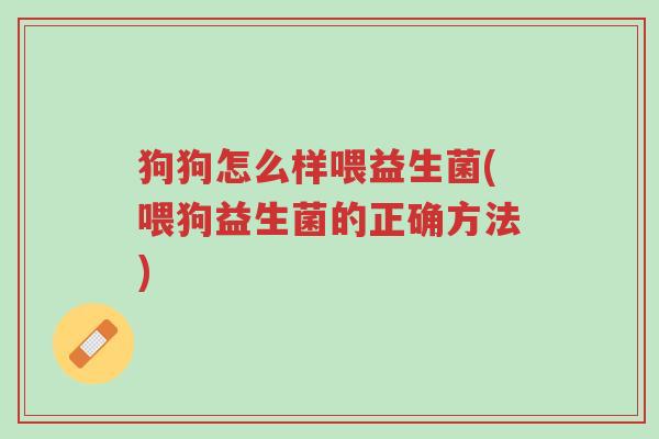 狗狗怎么样喂益生菌(喂狗益生菌的正确方法)-第1张图片-超越 狗狗怎么样喂益生菌(喂狗益生菌的正确方法)-第1张图片-超越