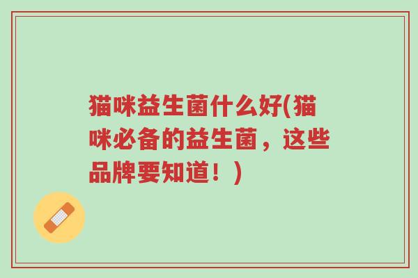 猫咪益生菌什么好(猫咪必备的益生菌,这些品牌要知道!)-第1张图片-超越 猫咪益生菌什么好(猫咪必备的益生菌,这些品牌要知道!)-第1张图片-超越