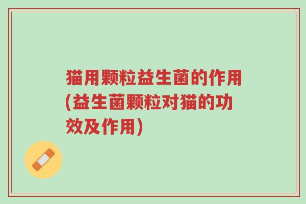 猫用颗粒益生菌的作用(益生菌颗粒对猫的功效及作用)-第1张图片-超越 猫用颗粒益生菌的作用(益生菌颗粒对猫的功效及作用)-第1张图片-超越