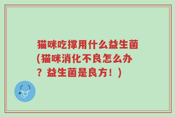 猫咪吃撑用什么益生菌(猫咪消化不良怎么办?益生菌是良方!)-第1张图片-超越 猫咪吃撑用什么益生菌(猫咪消化不良怎么办?益生菌是良方!)-第1张图片-超越