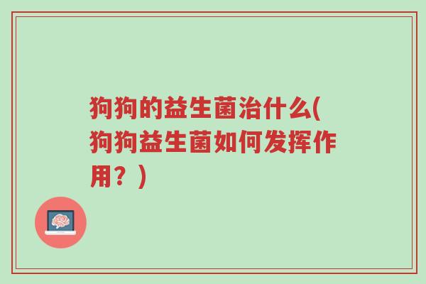 狗狗的益生菌治什么(狗狗益生菌如何发挥作用?)-第1张图片-超越 狗狗的益生菌治什么(狗狗益生菌如何发挥作用?)-第1张图片-超越