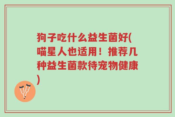 狗子吃什么益生菌好(喵星人也适用!推荐几种益生菌款待宠物健康)-第1张图片-超越 狗子吃什么益生菌好(喵星人也适用!推荐几种益生菌款待宠物健康)-第1张图片-超越