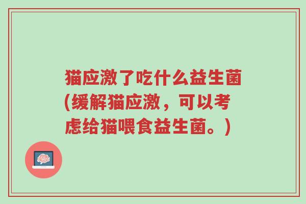 猫应激了吃什么益生菌(缓解猫应激,可以考虑给猫喂食益生菌。)-第1张图片-超越 猫应激了吃什么益生菌(缓解猫应激,可以考虑给猫喂食益生菌。)-第1张图片-超越