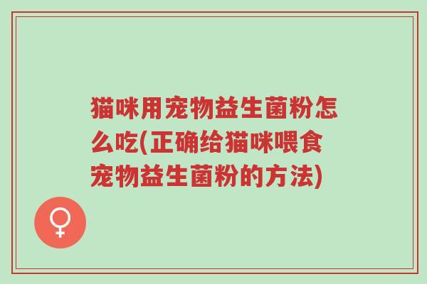 猫咪用宠物益生菌粉怎么吃(正确给猫咪喂食宠物益生菌粉的方法)-第1张图片-超越 猫咪用宠物益生菌粉怎么吃(正确给猫咪喂食宠物益生菌粉的方法)-第1张图片-超越