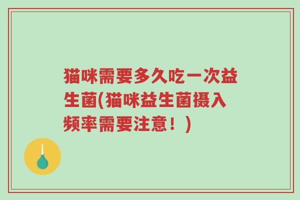 猫咪需要多久吃一次益生菌(猫咪益生菌摄入频率需要注意!)-第1张图片-超越 猫咪需要多久吃一次益生菌(猫咪益生菌摄入频率需要注意!)-第1张图片-超越