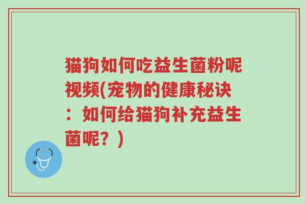 猫狗如何吃益生菌粉呢视频(宠物的健康秘诀:如何给猫狗补充益生菌呢?)-第1张图片-超越 猫狗如何吃益生菌粉呢视频(宠物的健康秘诀:如何给猫狗补充益生菌呢?)-第1张图片-超越
