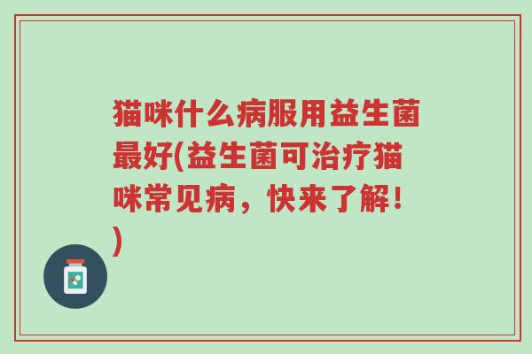 猫咪什么病服用益生菌最好(益生菌可治疗猫咪常见病,快来了解!)-第1张图片-超越 猫咪什么病服用益生菌最好(益生菌可治疗猫咪常见病,快来了解!)-第1张图片-超越